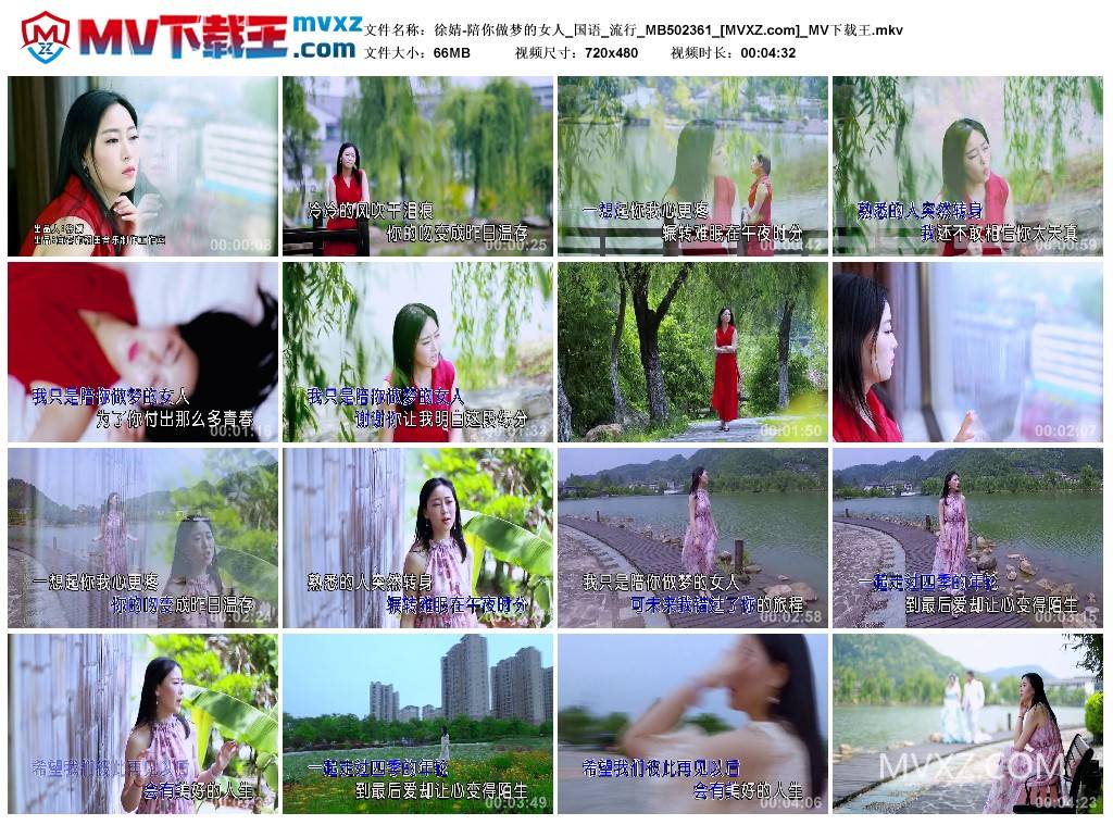 徐婧-陪你做梦的女人_国语_流行_MB502361